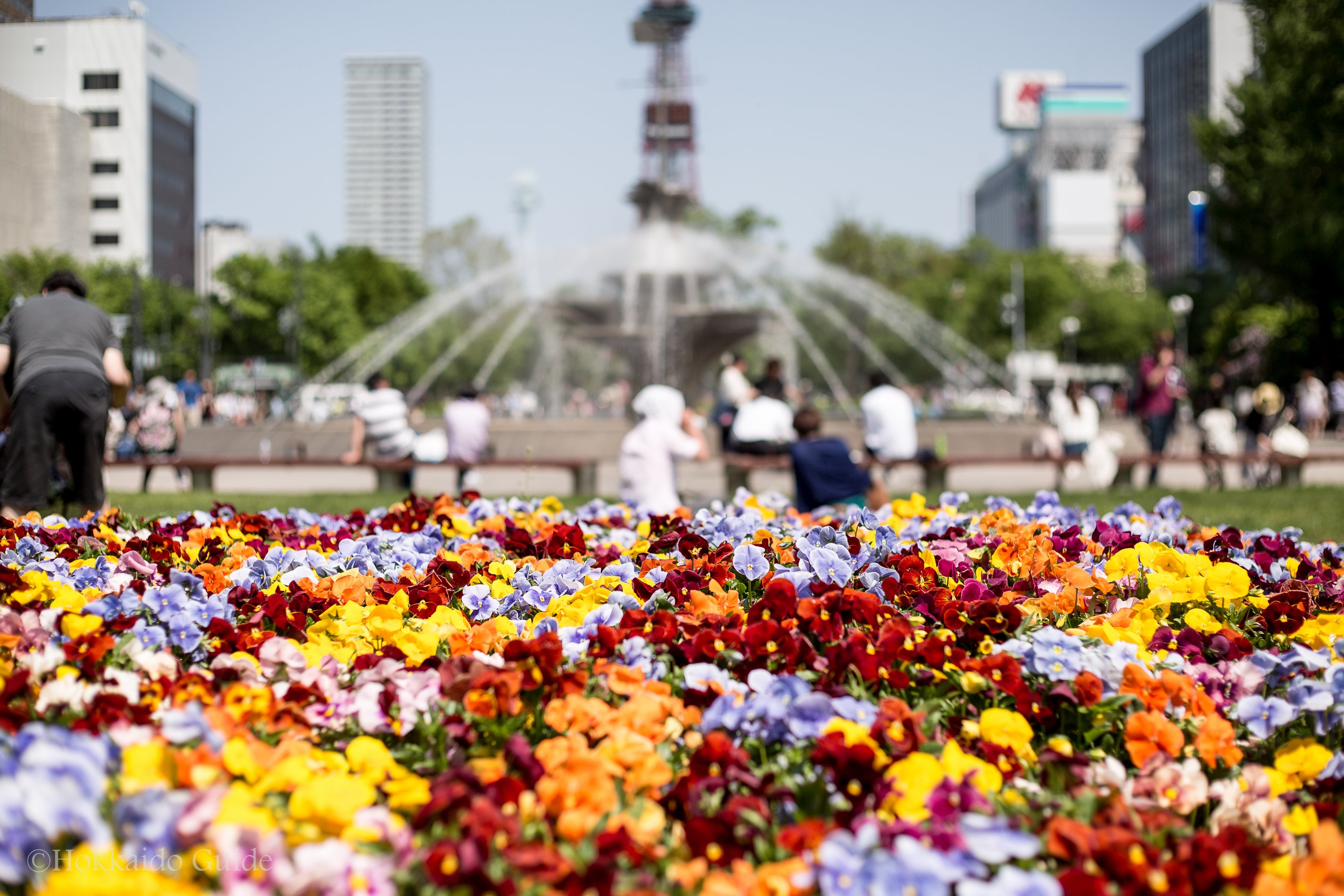 🏞️ 유리가하라 공원 이미지 9